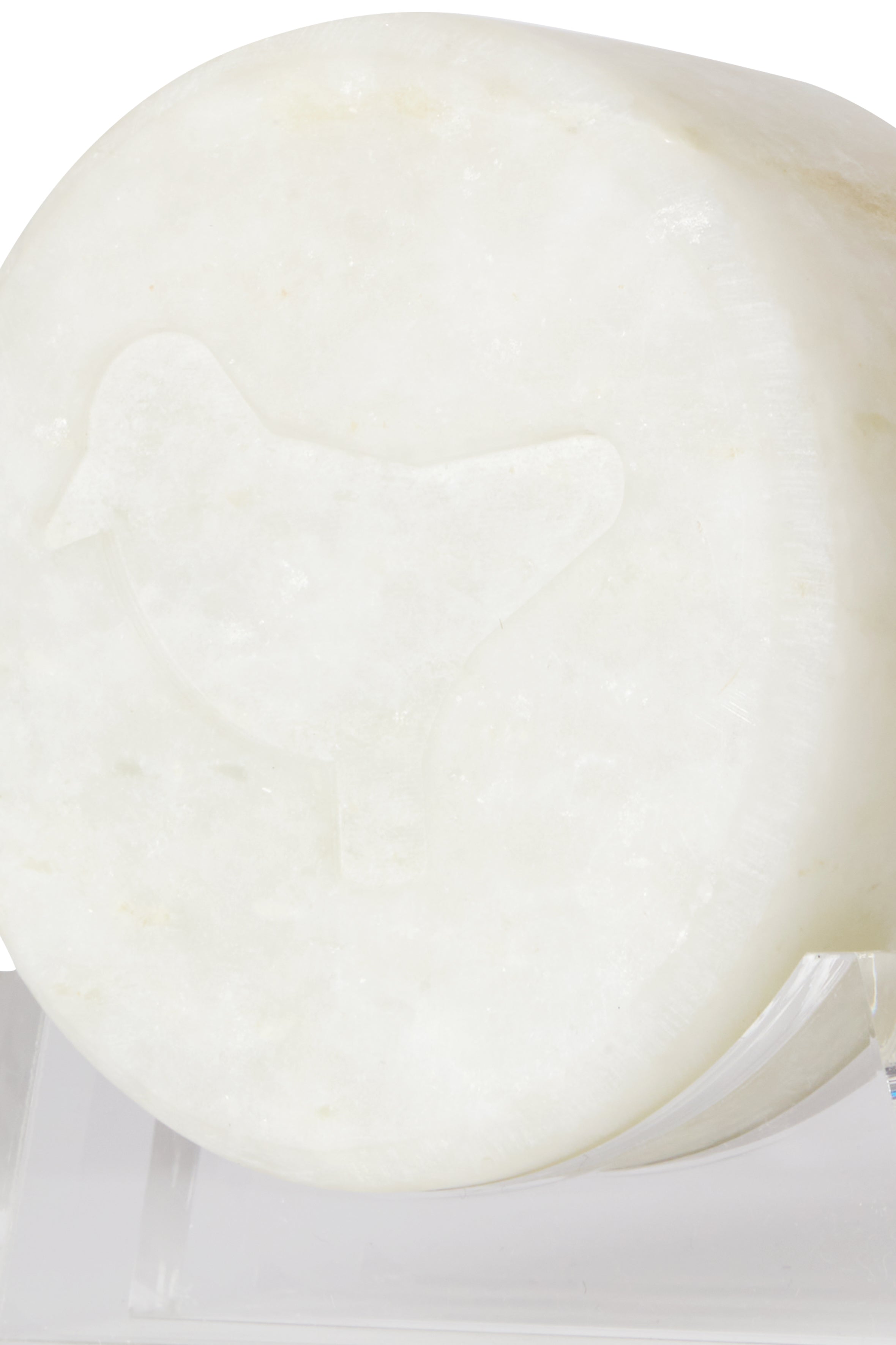Dove