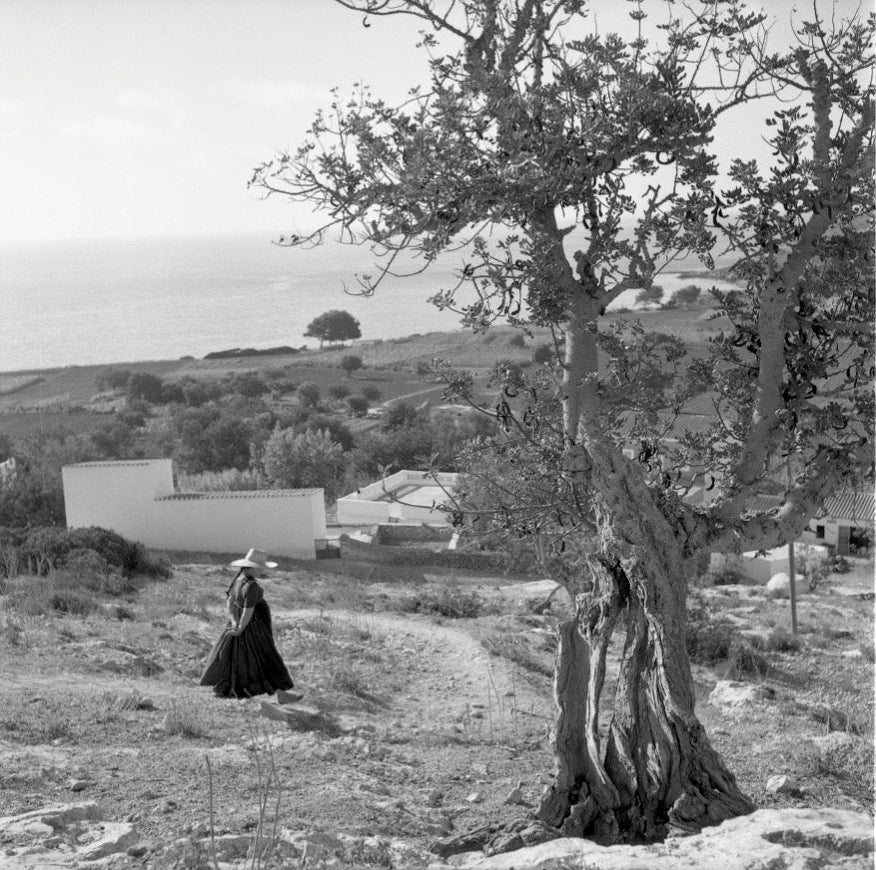 Payesa, Formentera