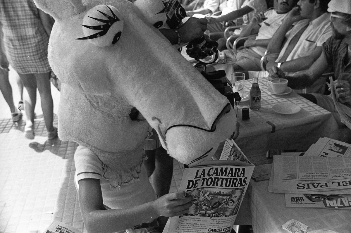 Pink Panther at The Montesol Hotel, Ibiza